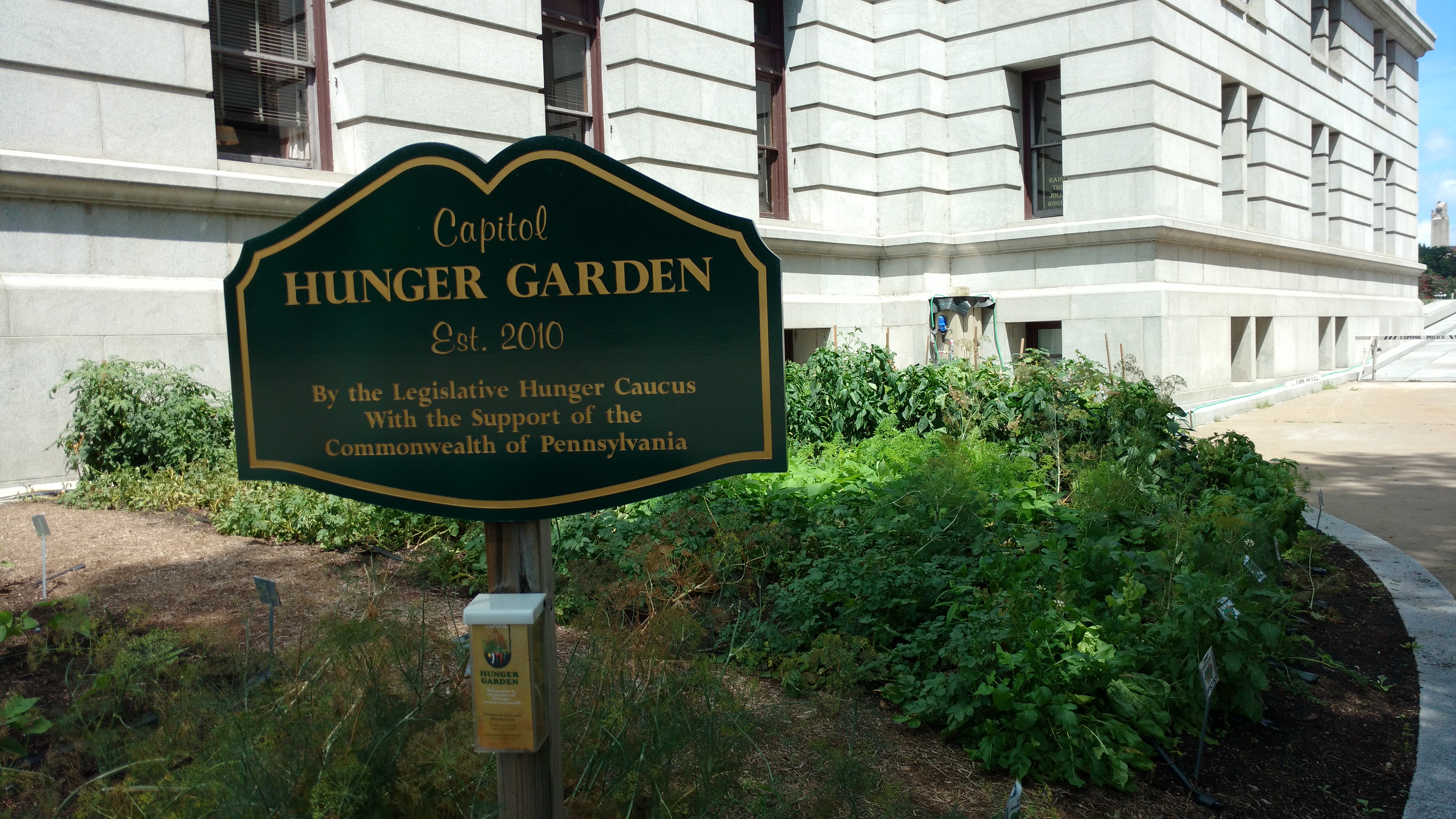 The Hunger Garden